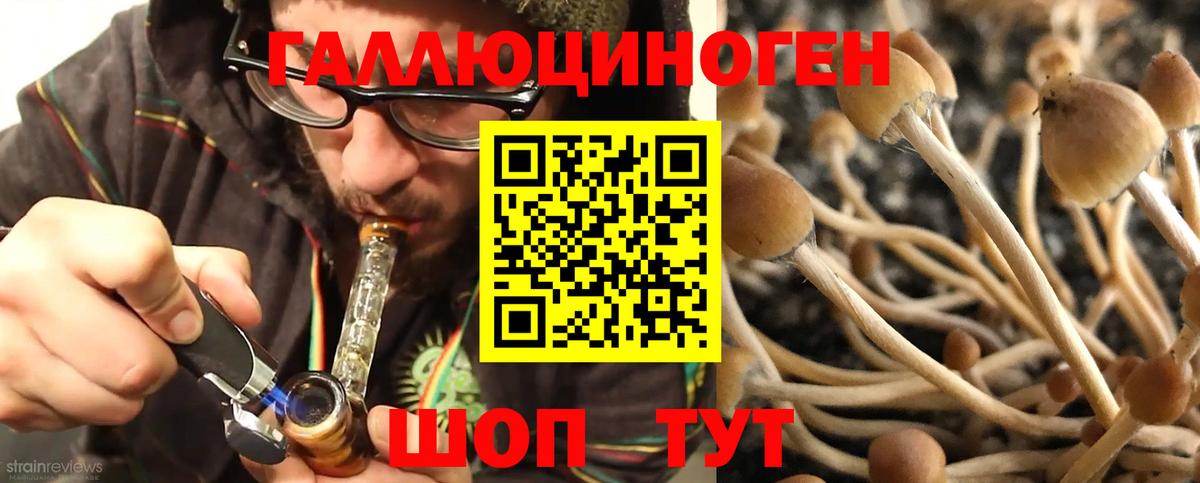 Псилоцибиновые грибы прущие грибы Армавир